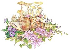 Fairy 27